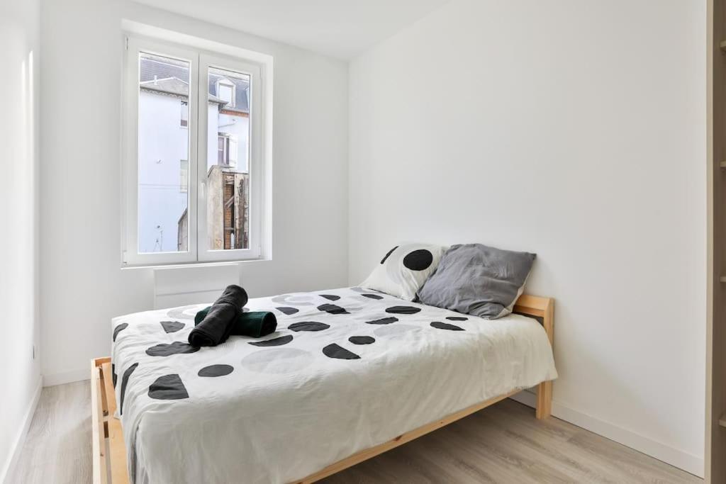 Suite Lumineux Et Moderne, Parking Gratuit, Mulhouse Centre Ngoại thất bức ảnh