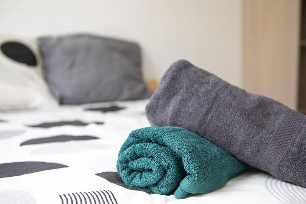 Suite Lumineux Et Moderne, Parking Gratuit, Mulhouse Centre Ngoại thất bức ảnh